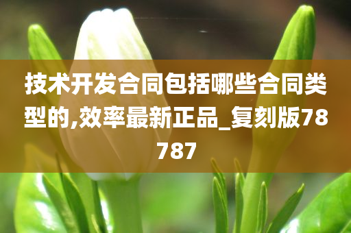 技术开发合同包括哪些合同类型的,效率最新正品_复刻版78787