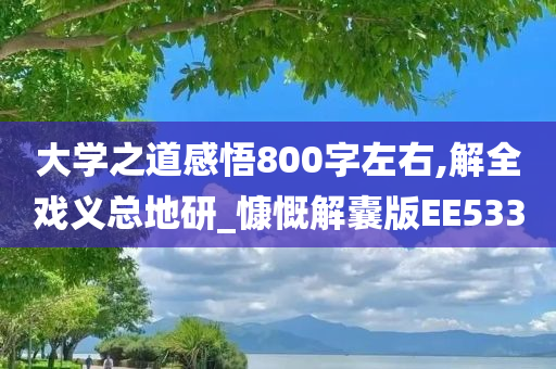 大学之道感悟800字左右,解全戏义总地研_慷慨解囊版EE533
