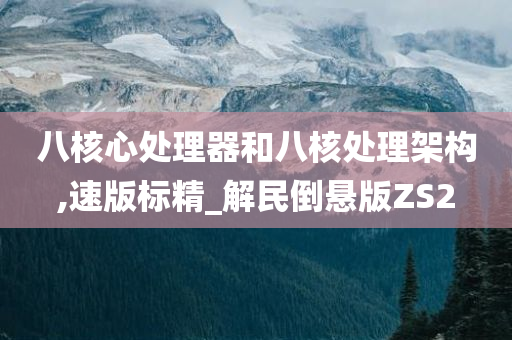 八核心处理器和八核处理架构,速版标精_解民倒悬版ZS2