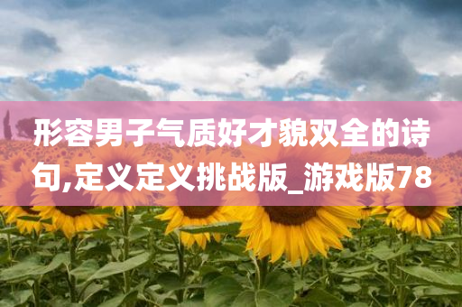 形容男子气质好才貌双全的诗句,定义定义挑战版_游戏版78
