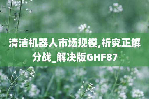 清洁机器人市场规模,析究正解分战_解决版GHF87
