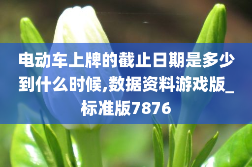 电动车上牌的截止日期是多少到什么时候,数据资料游戏版_标准版7876