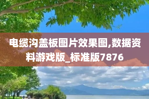 电缆沟盖板图片效果图,数据资料游戏版_标准版7876