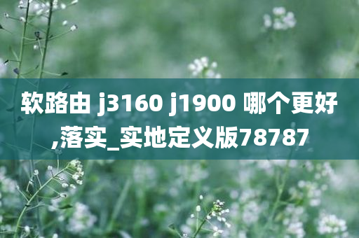 软路由 j3160 j1900 哪个更好,落实_实地定义版78787