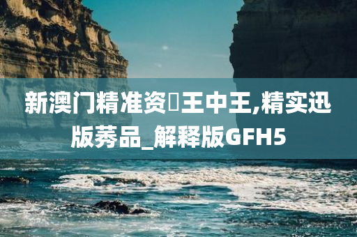 新澳门精准资枓王中王,精实迅版莠品_解释版GFH5