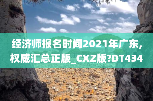 经济师报名时间20今晚必出三肖2025_2025新澳门精准免费提供·精确判断21年广东,权威汇总正版_CXZ版?DT434