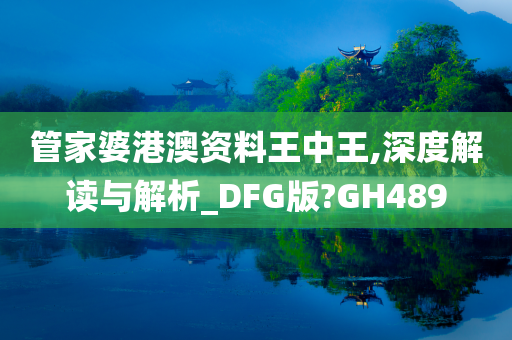 管家婆港澳资料王中王,深度解读与解析_DFG版?GH489