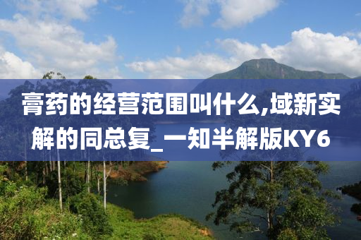 膏药的经营范围叫什么,域新实解的同总复_一知半解版KY6