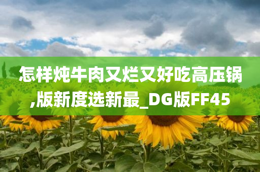 怎样炖牛肉又烂又好吃高压锅,版新度选新最_DG版FF45