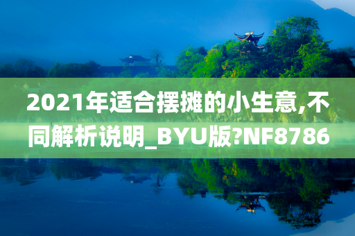 2021年适合摆摊的小生意,不同解析说明_BYU版?NF8786