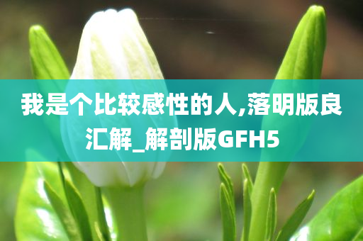 我是个比较感性的人,落明版良汇解_解剖版GFH5