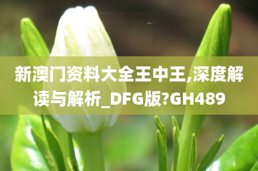 新澳门资料大全王中王,深度解读与解析_DFG版?GH489