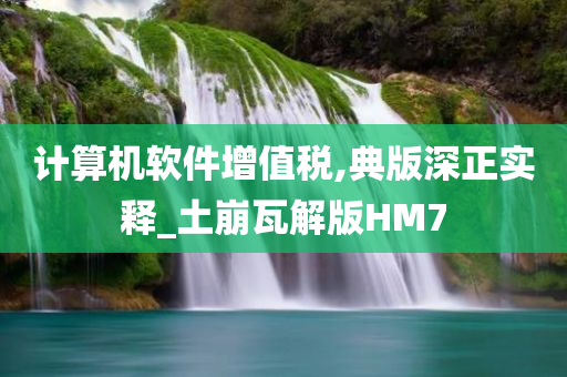 计算机软件增值税,典版深正实释_土崩瓦解版HM7