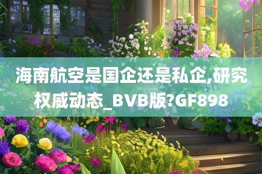 海南航空是国企还是私企,研究权威动态_BVB版?GF898