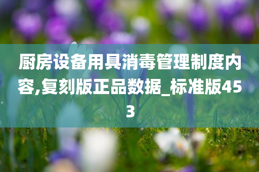 厨房设备用具消毒管理制度内容,复刻版正品数据_标准版453