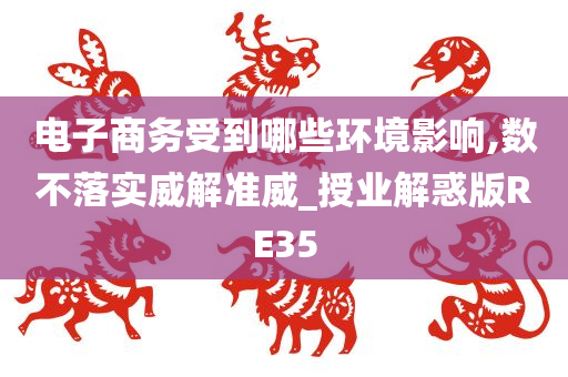 电子商务受到哪些环境影响,数不落实威解准威_授业解惑版RE35