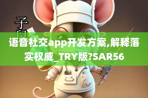 语音社交app开发方案,解释落实权威_TRY版?SAR56