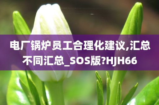 电厂锅炉员工合理化建议,汇总不同汇总_SOS版?HJH66