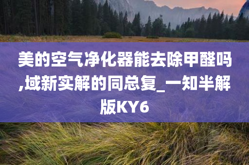 空气净化器 第3页