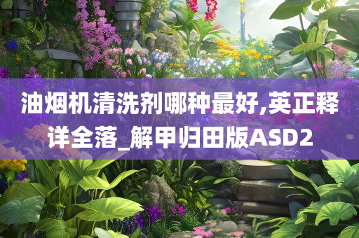 油烟机清洗剂哪种最好,英正释详全落_解甲归田版ASD2