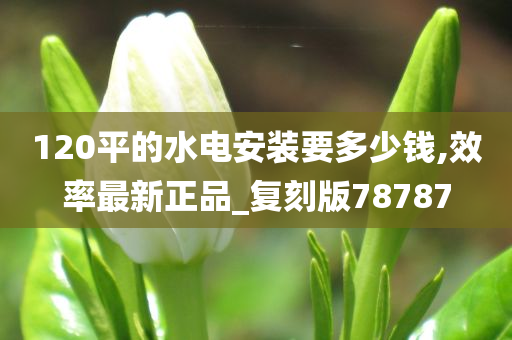 120平的水电安装要多少钱,效率最新正品_复刻版78787