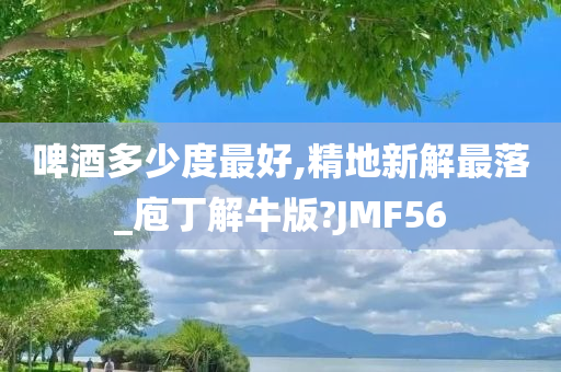 啤酒多少度最好,精地新解最落_庖丁解牛版?JMF56