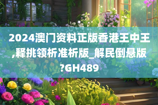 2024澳门资料正版香港王中王,释挑领析准析版_解民倒悬版?GH489