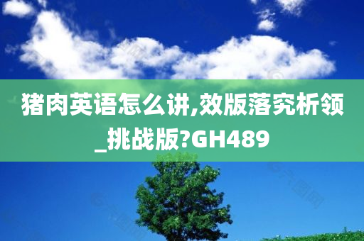 猪肉英语怎么讲,效版落究析领_挑战版?GH489