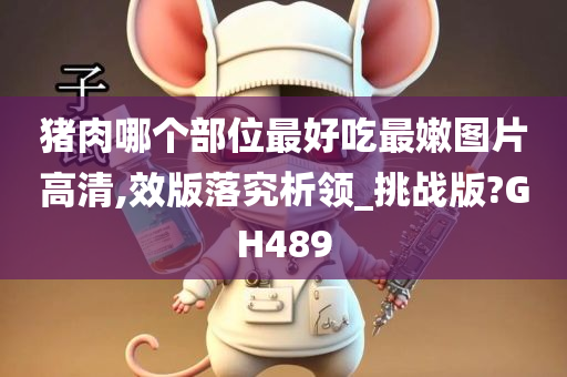 猪肉哪个部位最好吃最嫩图片高清,效版落究析领_挑战版?GH489