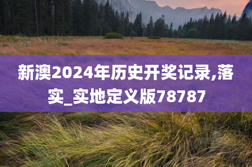 新澳2024年历史开奖记录,落实_实地定义版78787