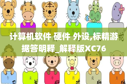 计算机软件 硬件 外设,标精游据答明释_解释版XC76