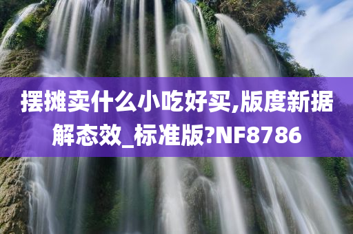 摆摊卖什么小吃好买,版度新据解态效_标准版?NF8786
