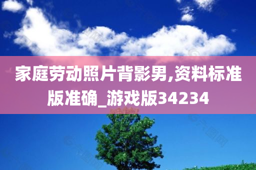 家庭劳动照片背影男,资料标准版准确_游戏版34234