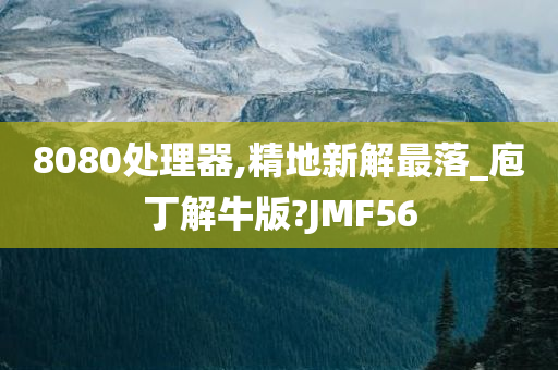 8080处理器,精地新解最落_庖丁解牛版?JMF56