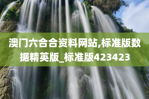 澳门六合合资料网站,标准版数据精英版_标准版423423