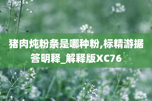 猪肉炖粉条是哪种粉,标精游据答明释_解释版XC76