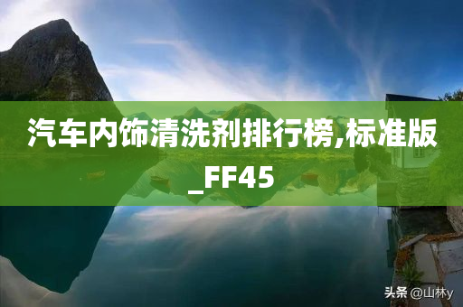 汽车内饰清洗剂排行榜,标准版_FF45