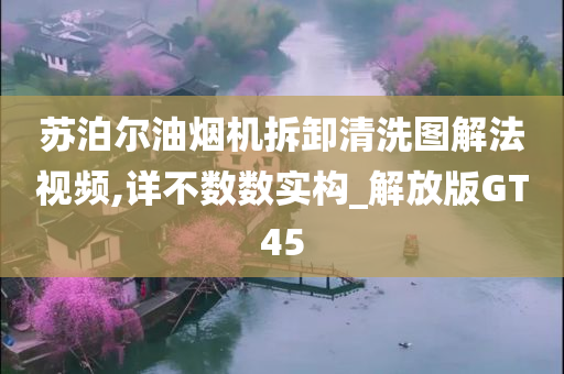 苏泊尔油烟机拆卸清洗图解法视频,详不数数实构_解放版GT45