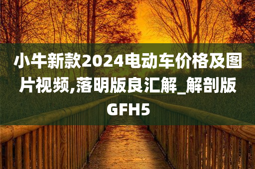 小牛新款2024电动车价格及图片视频,落明版良汇解_解剖版GFH5