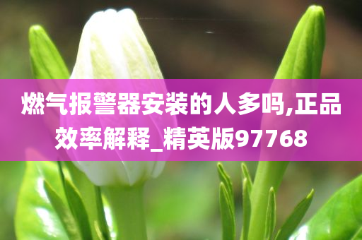 燃气报警器安装的人多吗,正品效率解释_精英版97768