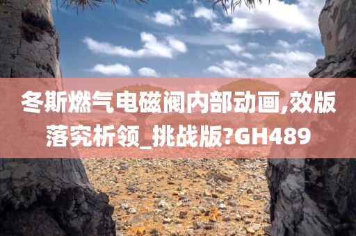 冬斯燃气电磁阀内部动画,效版落究析领_挑战版?GH489