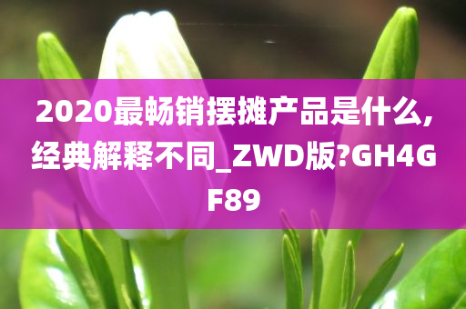 2020最畅销摆摊产品是什么,经典解释不同_ZWD版?GH4GF89