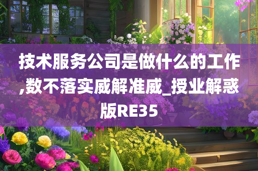 技术服务公司是做什么的工作,数不落实威解准威_授业解惑版RE35