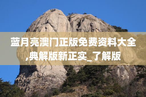 蓝月亮澳门正版免费资料大全,典解版新正实_了解版