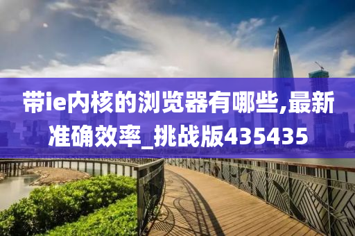 带ie内核的浏览器有哪些,最新准确效率_挑战版435435