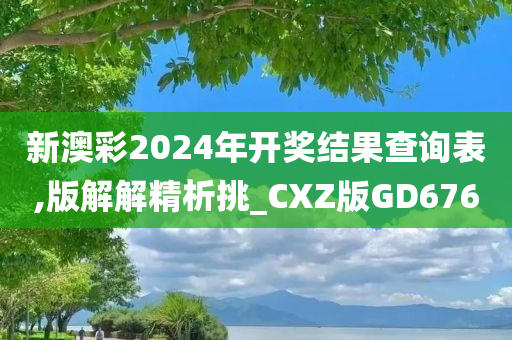 新澳彩2024年开奖结果查询表,版解解精析挑_CXZ版GD676
