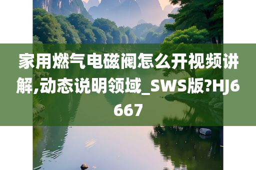家用燃气电磁阀怎么开视频讲解,动态说明领域_SWS版?HJ6667