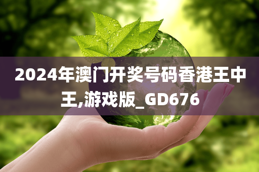 2024年澳门开奖号码香港王中王,游戏版_GD676