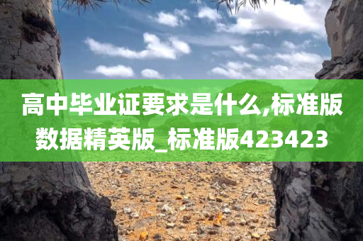 高中毕业证要求是什么,标准版数据精英版_标准版423423