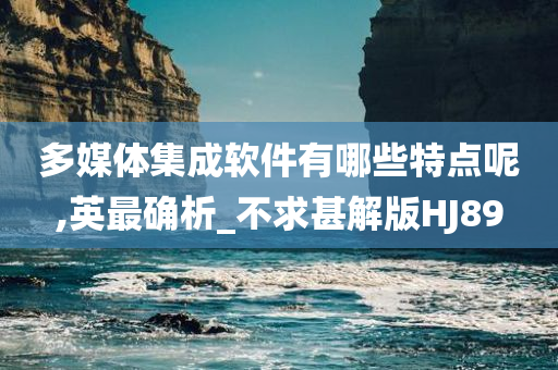 多媒体集成软件有哪些特点呢,英最确析_不求甚解版HJ89